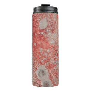 Bouteilles Isothermes Peinture abstraite rouge et blanche