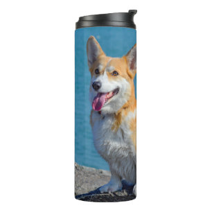 Bouteilles Isothermes Pembroke rouge et blanc Corgi Chien chiot gallois