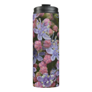 Bouteilles Isothermes Petite Hydrangée Fleurs Motif Tumbler Thermique