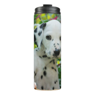 Bouteilles Isothermes Photo dalmatienne mignonne de portrait d'animal