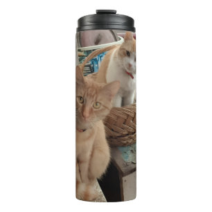 Bouteilles Isothermes Photo de chat roux