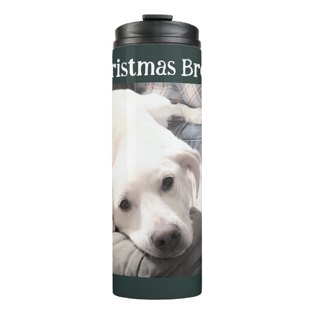 Bouteilles Isothermes Photo du chien mignon Noël Break Green (Devant)