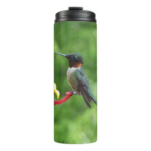 Bouteilles Isothermes Photographie d'oiseau Colibri à gorge rubis