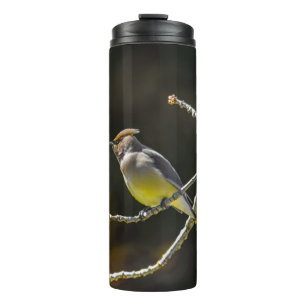 Bouteilles Isothermes Photographie originale d'oiseau sauvage de Jaseur 