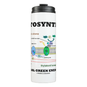 Bouteilles Isothermes Photosynthèse La Source D'Énergie Verte Originale