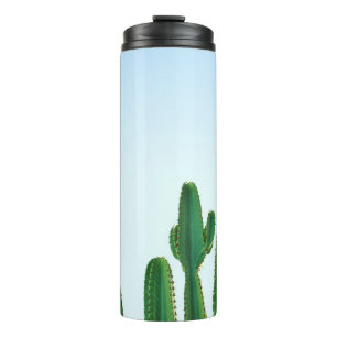 Bouteilles Isothermes Plante cactus vert en arrière - plan blanc