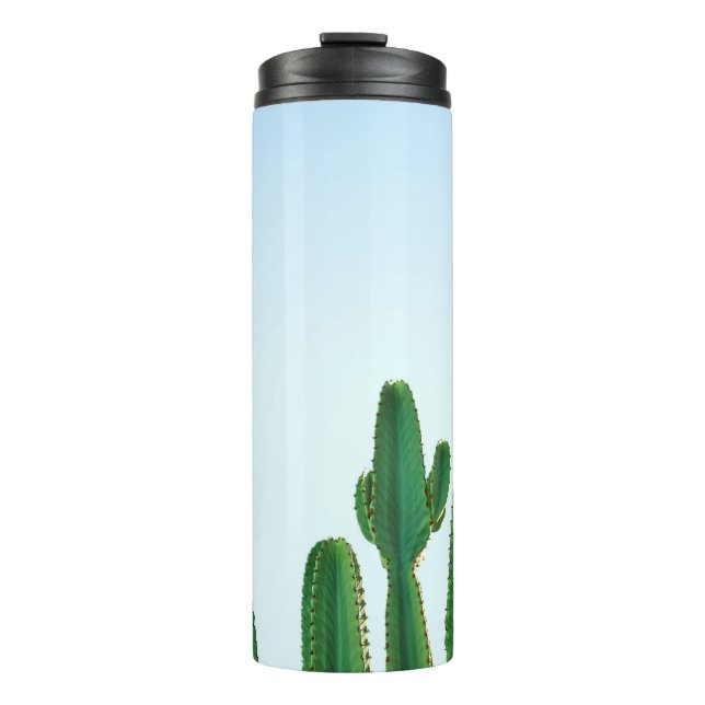 Bouteilles Isothermes Plante cactus vert en arrière - plan blanc (Devant)