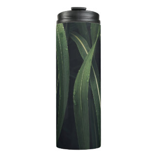 BOUTEILLES ISOTHERMES PLANTE VERT