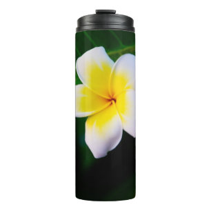Bouteilles Isothermes Plumeria