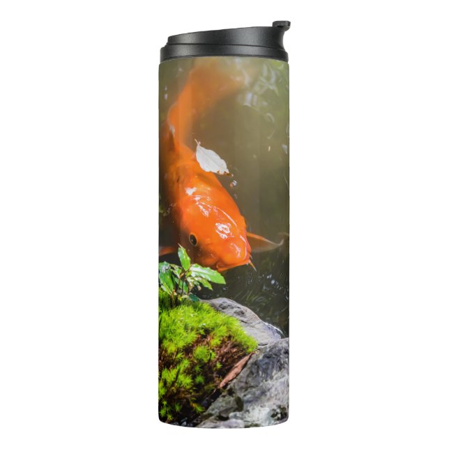 Bouteilles Isothermes Poisson Koi dans un étang (Tourné sur la gauche)