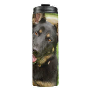Bouteilles Isothermes Portrait d'un berger allemand