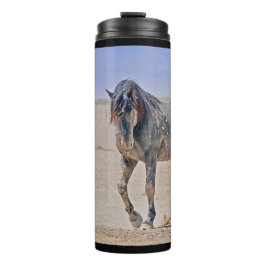 Bouteilles Isothermes Puissant caisson thermique Stallion