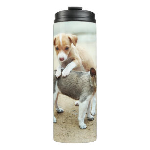 Bouteilles Isothermes Puppies mignonnes jouer sur la plage