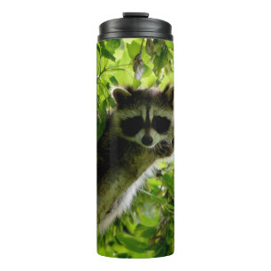 Bouteilles Isothermes Raccoon dans Green Tree Cute gris masqué raccoon