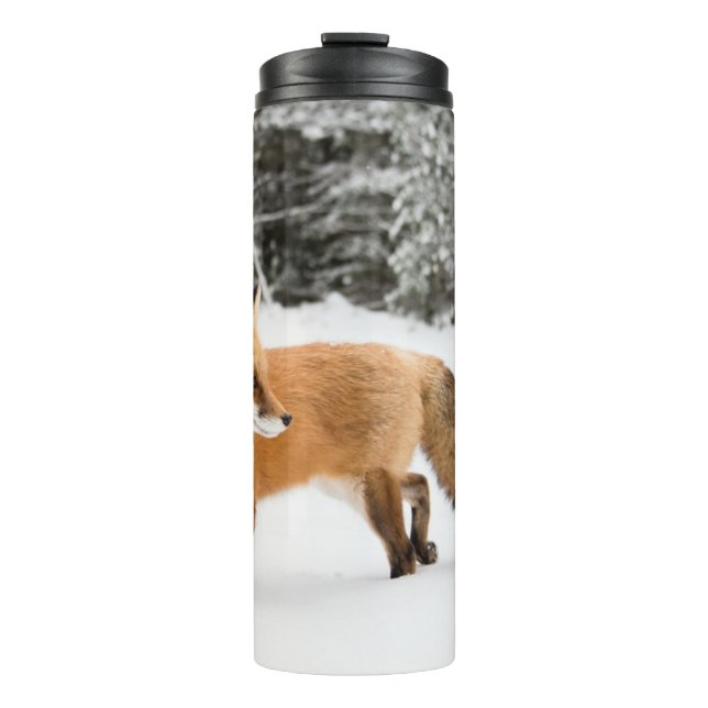 Bouteilles Isothermes Renard rouge en neige blanche (Devant)