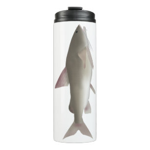 Bouteilles Isothermes Rita