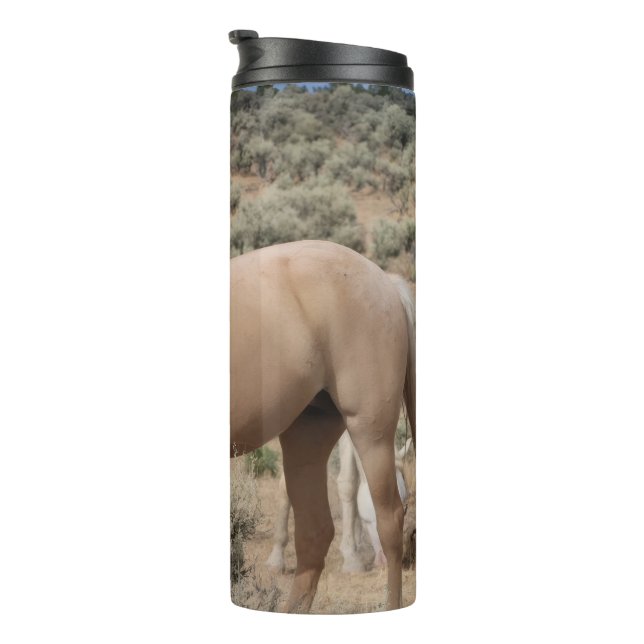 Bouteilles Isothermes S Steens Tumbler  (Tourné sur la droite)