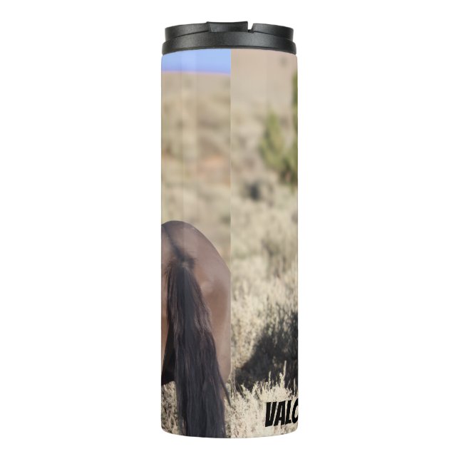 Bouteilles Isothermes S Steens Tumbler  (Dos)