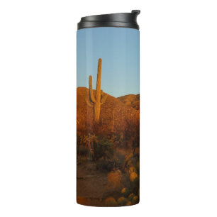 Bouteilles Isothermes Saguaro Sunset I Arizona Désert Paysage
