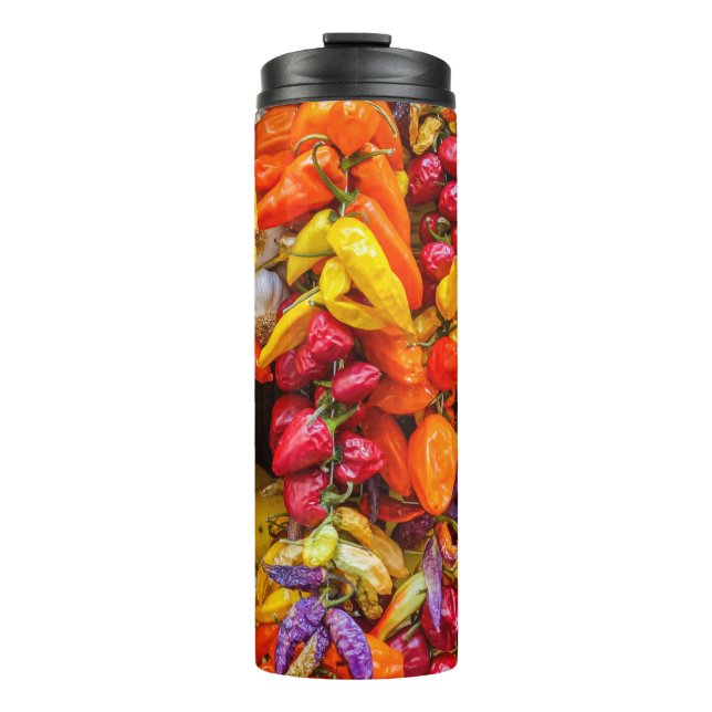 Bouteilles Isothermes Saveurs méditerranéennes (Devant)