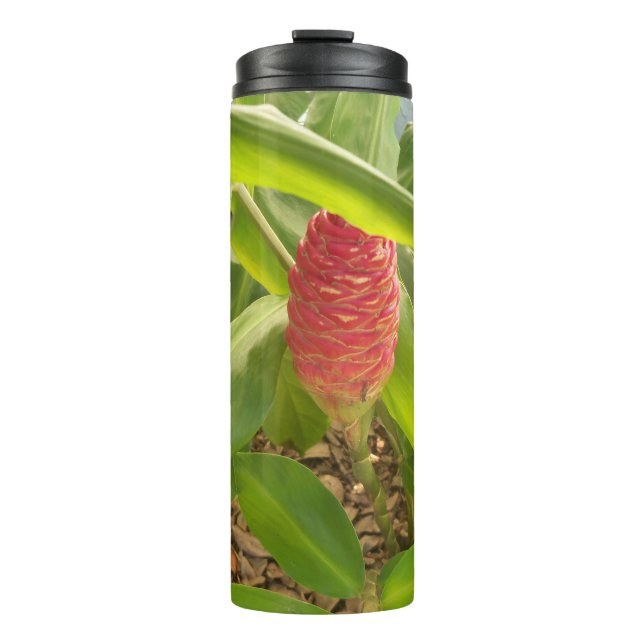 Bouteilles Isothermes Shampooing Fleur de gingembre (Devant)