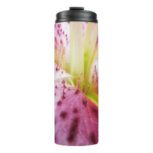 Bouteilles Isothermes Stargazer Lily brillant Magenta Floral