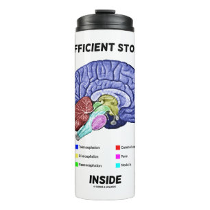 Bouteilles Isothermes Stockage insuffisant à l'intérieur Humour d'anatom