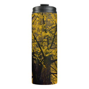 Bouteilles Isothermes Tablier thermique Chute Jaune Peinture Arbre