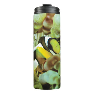Bouteilles Isothermes Tasse thermique avec la conception de clownfish