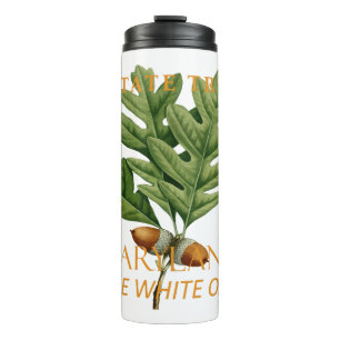 Bouteilles Isothermes Territoire du Maryland Arbre Le Chêne Blanc