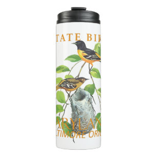 Bouteilles Isothermes Territoire du Maryland Oiseau Le Icterus galbula