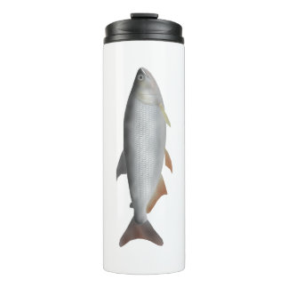 Bouteilles Isothermes Tiete tetra