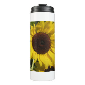 Bouteilles Isothermes Tournesol
