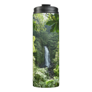 Bouteilles Isothermes Trafalgar Falls Tropical Rainforest Photographie