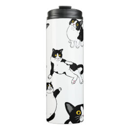 Bouteilles Isothermes Tuxedo chat