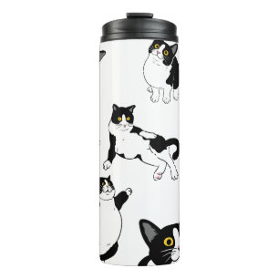 Bouteilles Isothermes Tuxedo chat