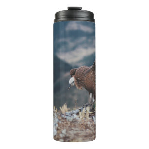 BOUTEILLES ISOTHERMES VULTURE