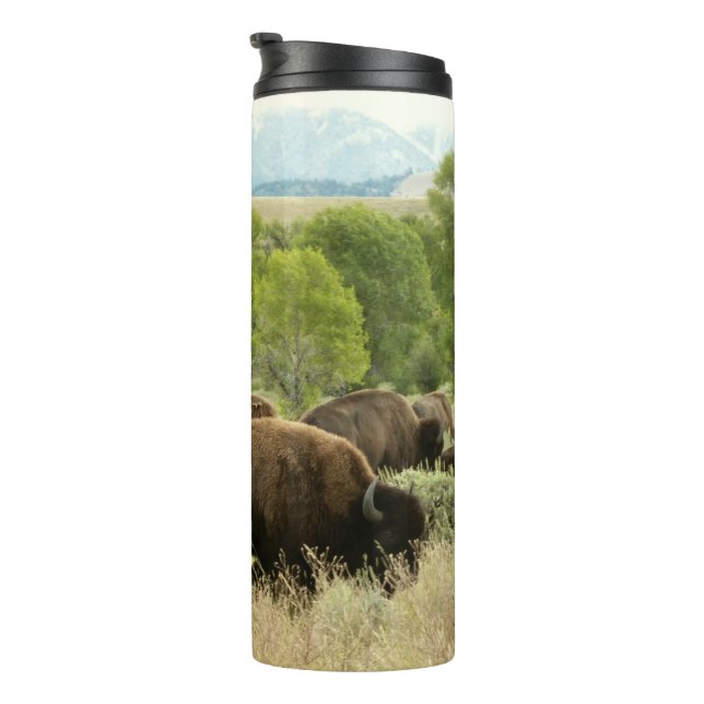 Bouteilles Isothermes Wyoming Bison Nature Animal Photography (Tourné sur la droite)