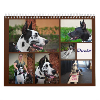 Bouteur le calendrier de chien de thérapie