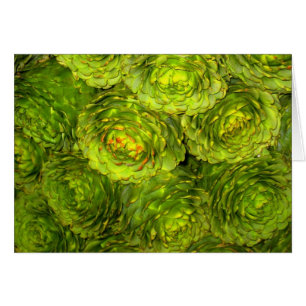 Boutique d'artichaut