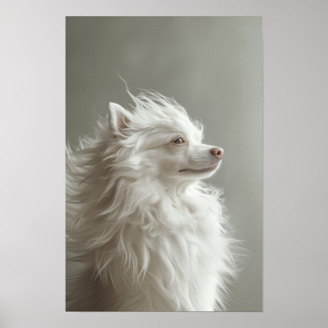 Boutique Pet Groomo Poster (Vorne)