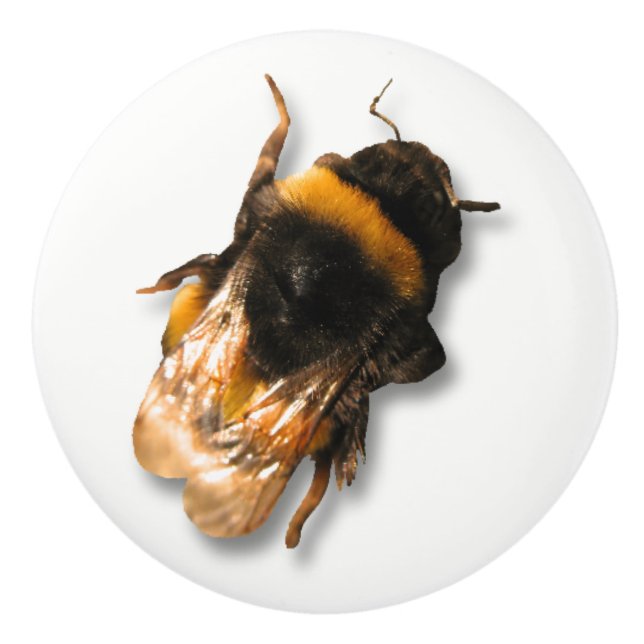 Bouton d'abeille de miel (Devant)