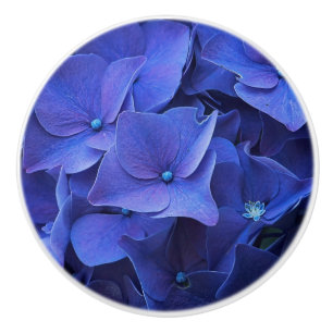 Bouton de bleu de Newport