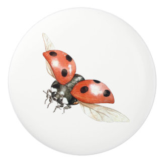 bouton de coccinelle