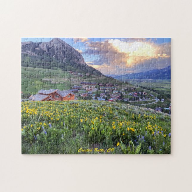 Bouton de muscade, CO Photo Puzzle Puzzle (Horizontal)