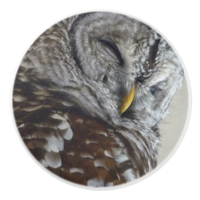 Bouton de porte en céramique (Devant)