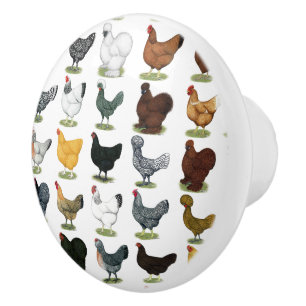 Bouton De Porte En Céramique 49 poules de poulet
