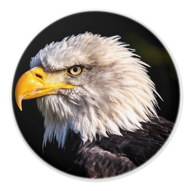 Bouton De Porte En Céramique Aigle de Bald (Devant)