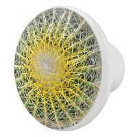 Amusant Cactus Arid