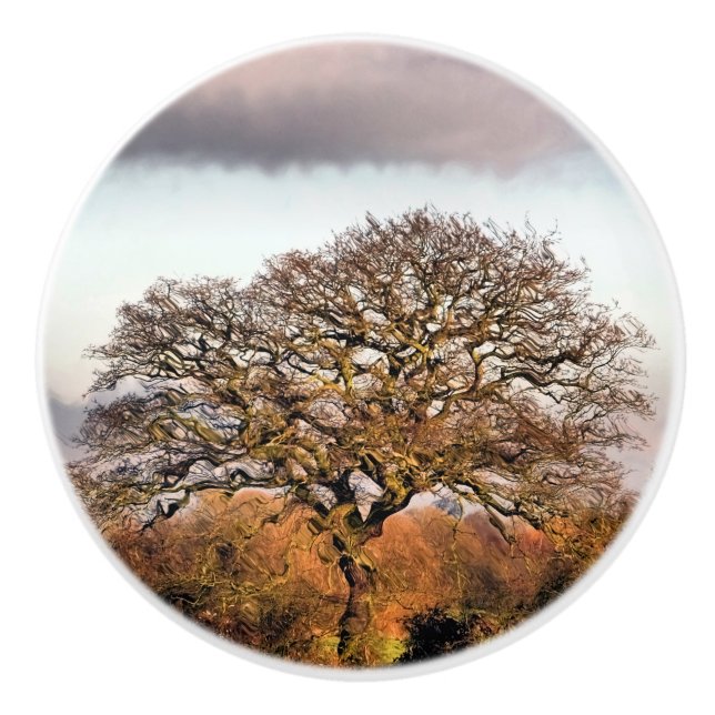 BOUTON DE PORTE EN CÉRAMIQUE ARBRE D'HIVER (Devant)